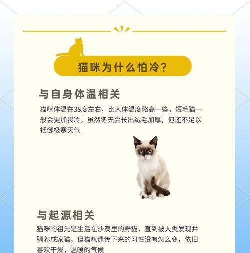 喵咪洗澡的最佳时机（探讨喵咪在出生多久后适合洗澡的关键）