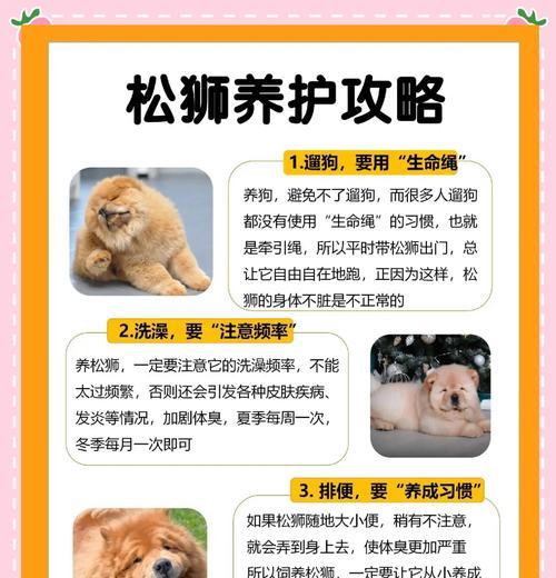 松狮犬患犬瘟的症状与治疗（了解松狮犬患犬瘟的表现及治疗方法）