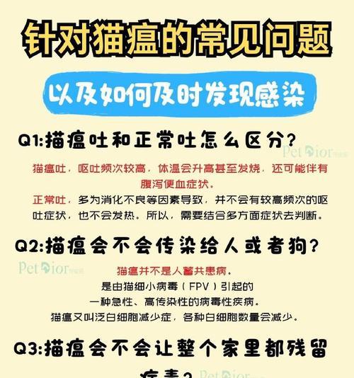 猫瘟后多久可以养猫？（了解适宜时间，保障猫咪健康）