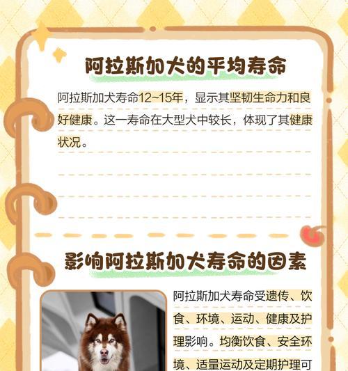 新买的阿拉斯加，打疫苗的时机到了吗？（探讨阿拉斯加犬什么时候打疫苗才合适）