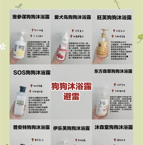 便宜好养的狗狗推荐（价廉物美的小伙伴，带给你快乐陪伴）