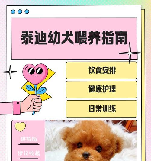 泰迪幼犬的眼睛是什么时候睁开的？（揭秘泰迪宝宝从闭眼到睁眼的奇妙变化）