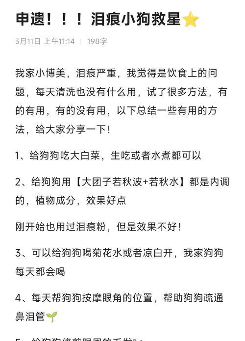 告别泪痕，让狗狗颜值回升（教你5种方法，有效去除狗狗泪痕）