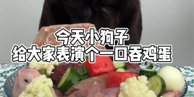 幼犬饮食指南（揭开幼犬饮食中的秘密——为什么每天一个鸡蛋黄很重要？）