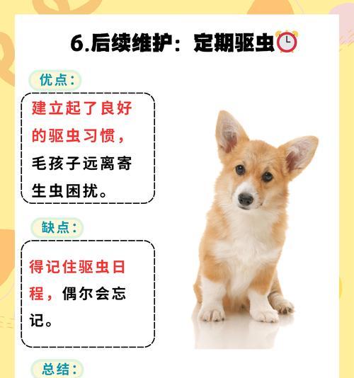 狗狗除虫后多久可以打疫苗？（疫苗接种时间和除虫间隔的重要性）
