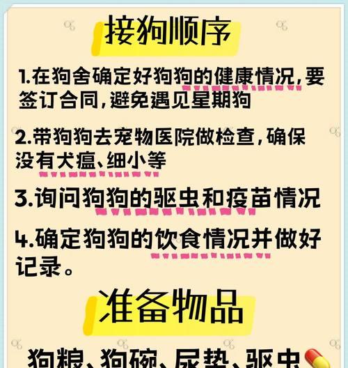 泰迪犬驱虫的重要性（驱虫注意事项分享，让泰迪犬健康成长）