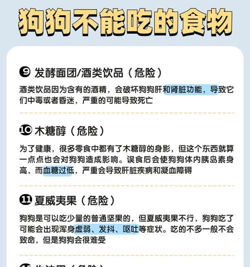 狗狗的饮食禁忌与适宜零食（了解狗狗的食物禁忌，给予适宜的零食，关爱你的毛茸伙伴）