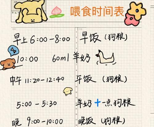 泰迪生产时间揭秘（以泰迪生产周期为例，了解宠物生产的时间成本及所需关键环节）