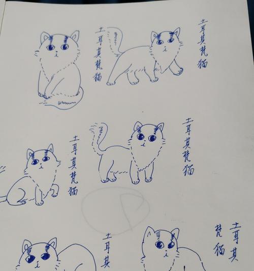 探秘土耳其梵猫各品种的特征（揭开土耳其梵猫品种的神秘面纱，了解其独特特征）