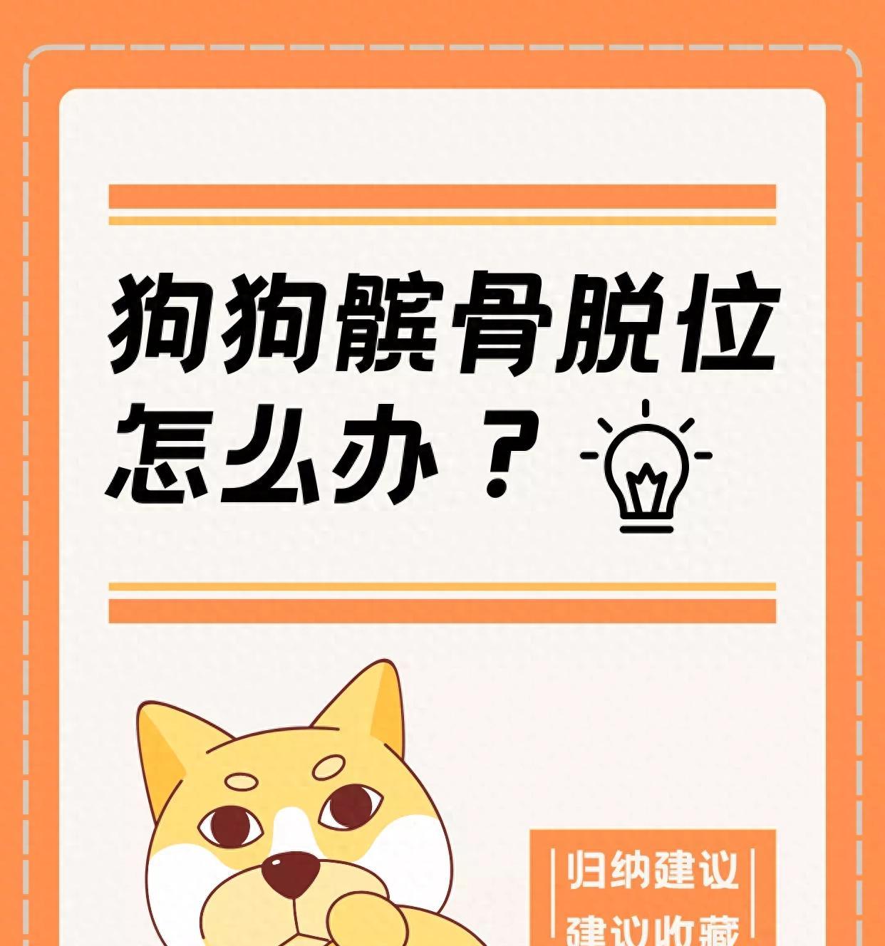 狗狗髌骨脱位怎么办？狗狗髌骨脱位有哪些症状？