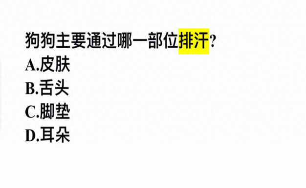 狗狗是怎么散热的？狗狗主要通过哪一部位排汗？