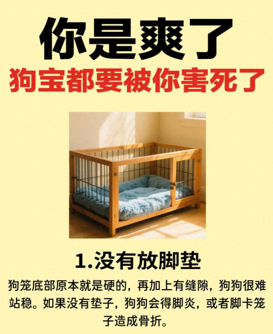 铲屎官日常“爱”狗的5大误操作，正在悄悄害死狗！